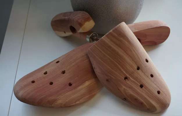 Pflegeprodukte für Leder 1