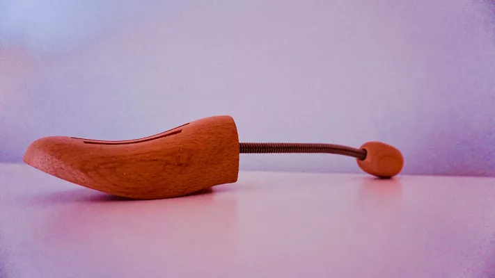 Schuhspanner 3