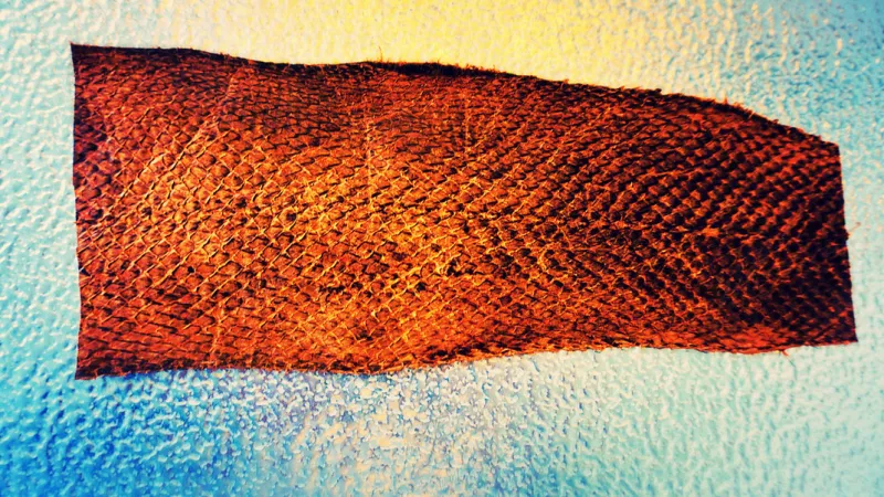 besatz-für-maßsschue-aus-sehr-schöner-fischhaut